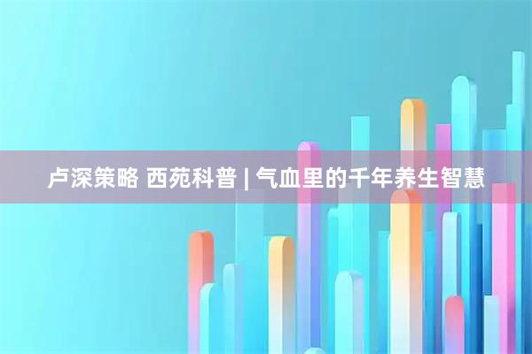 卢深策略 西苑科普 | 气血里的千年养生智慧