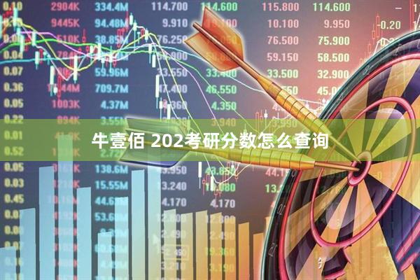 牛壹佰 202考研分数怎么查询