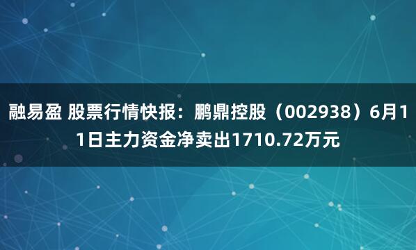 融易盈 股票行情快报：鹏鼎控股（002938）6月11日主力资金净卖出1710.72万元